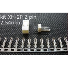 Kit Connettori XH-2P 2 PIN Leads Head 2,54mm per Elettronica Circuiti PCB