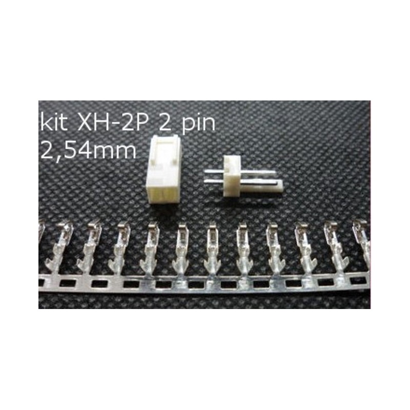 Kit Connettori XH-2P 2 PIN Leads Head 2,54mm per Elettronica Circuiti PCB
