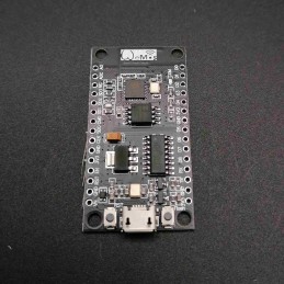 Scheda Wemos Nodemcu Lua...