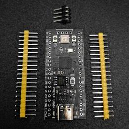 Scheda di sviluppo RP2040 USB TYPE C compatibile con Raspberry Pi Pico