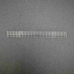 Strip line pin maschio 40...