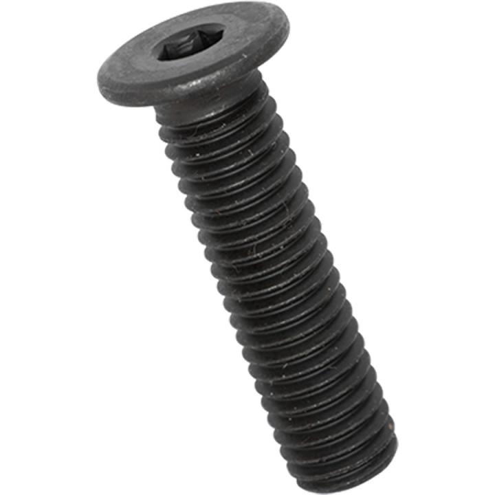 Vite Bossard M10×25, testa cilindrica, brugola HEX 5mm, acciaio brunito, BN 1206 (confezione da 100 pz) – 1415824