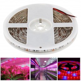 Striscia strip led smd 5050 grow UV per crescita piante idroponica bobina 5 mt