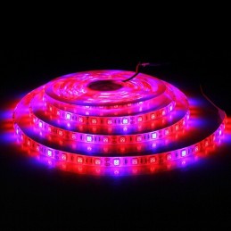 Striscia strip led smd 5050 grow UV per crescita piante idroponica bobina 5 mt